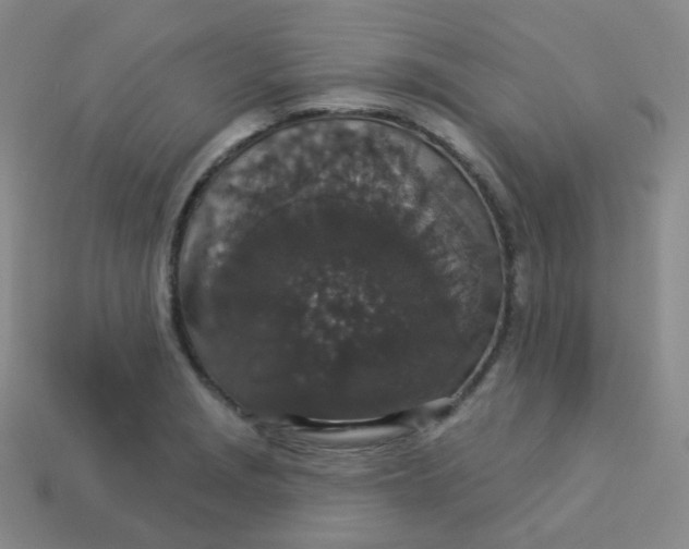 X0000113551229200910091257