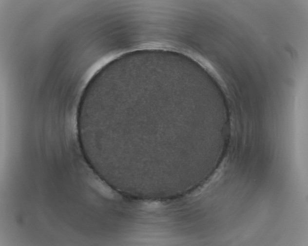 X0000113551230200910091257