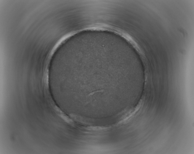 X0000113551232200910091257