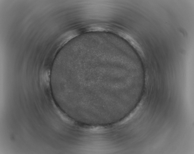 X0000113551233200910091257