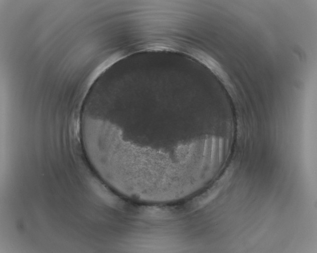 X0000113551234200910091257