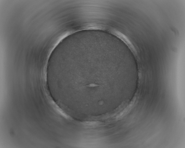 X0000113551236200910091257