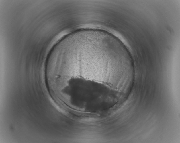 X0000113551237200910091257