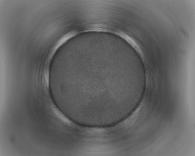 X0000113551238200910091257