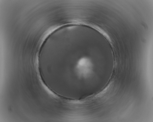 X0000113551239200910091257