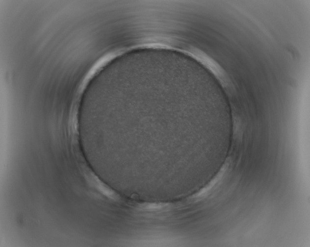 X0000113551240200910091257