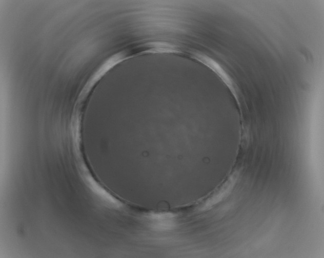 X0000113551243200910091257