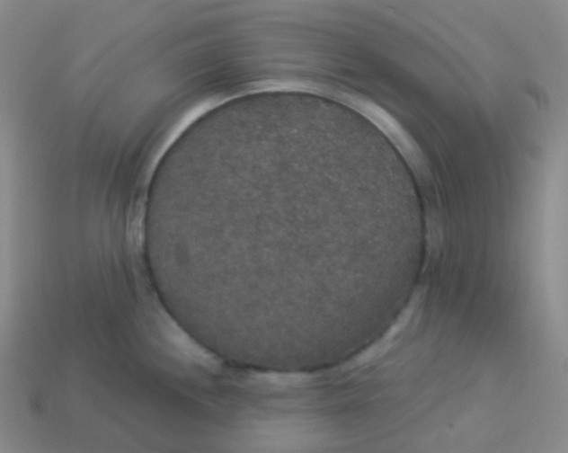 X0000113551244200910091257