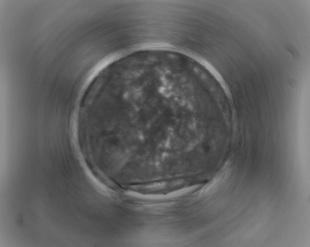 X0000113551245200910091257