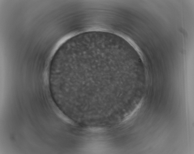 X0000113551246200910091257