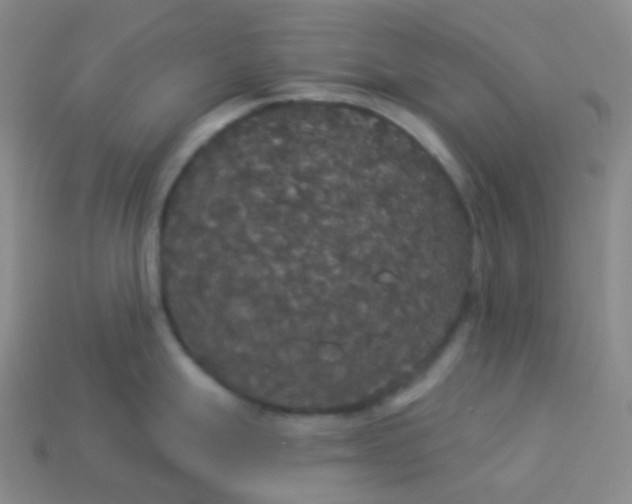 X0000113551247200910091257