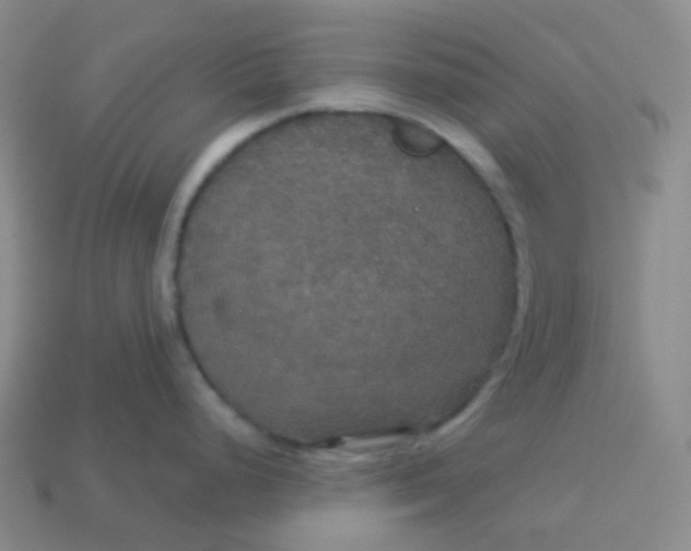 X0000113551248200910091257