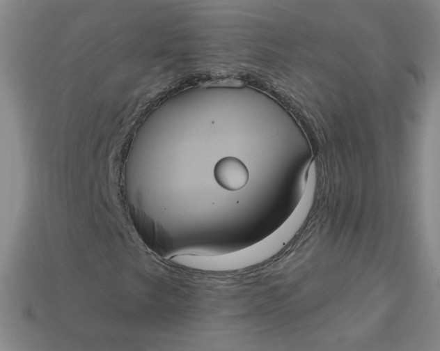 X0000113551249200910091257