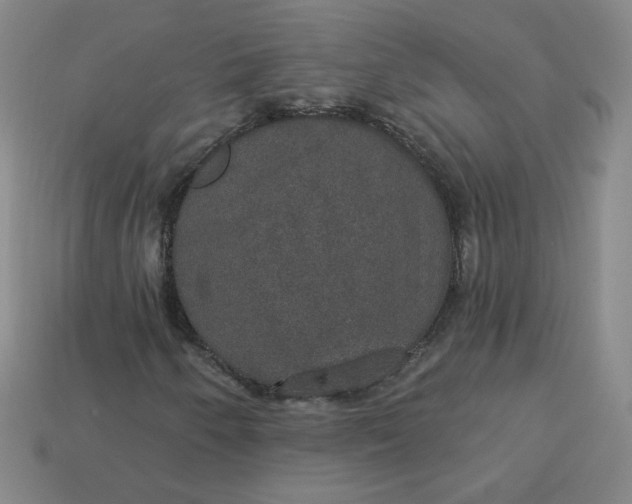 X0000113551250200910091257