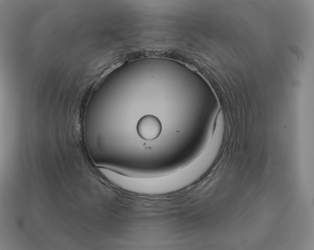 X0000113551252200910091257