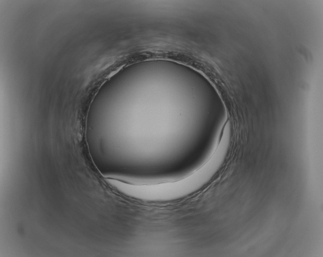 X0000113551253200910091257