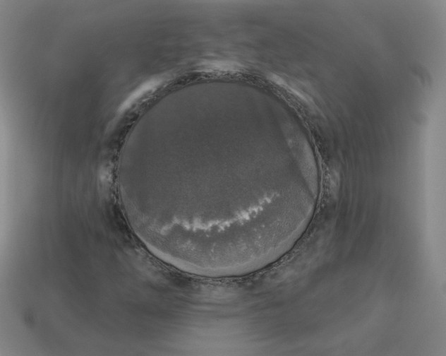 X0000113551254200910091257