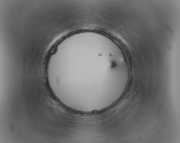 X0000113551256200910091257