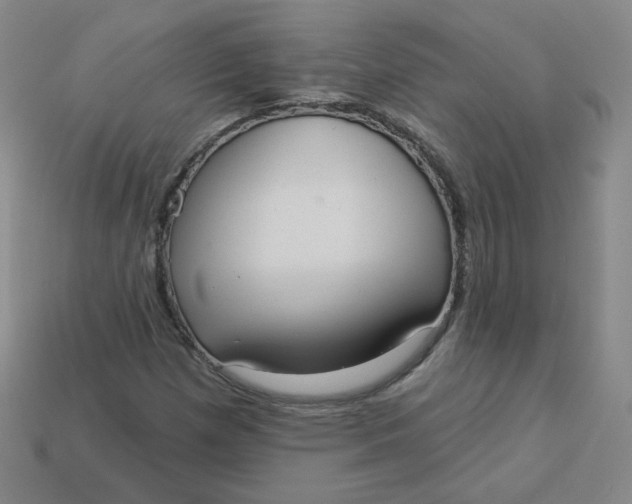 X0000113551257200910091257