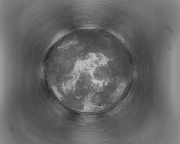 X0000113551258200910091257