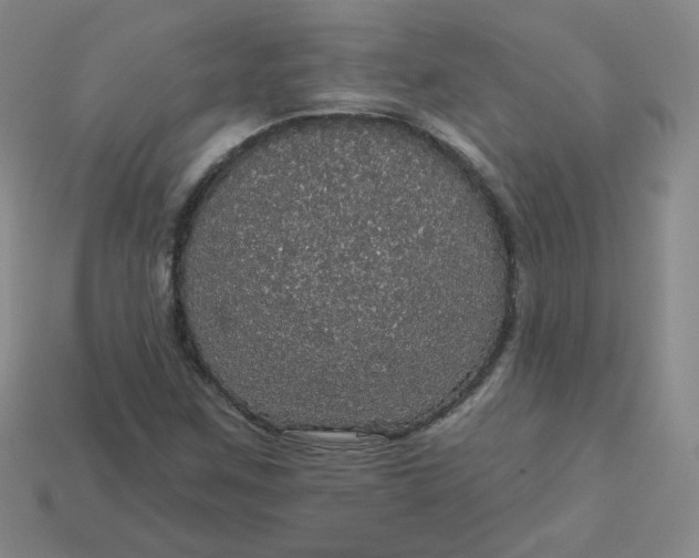 X0000113551259200910091257