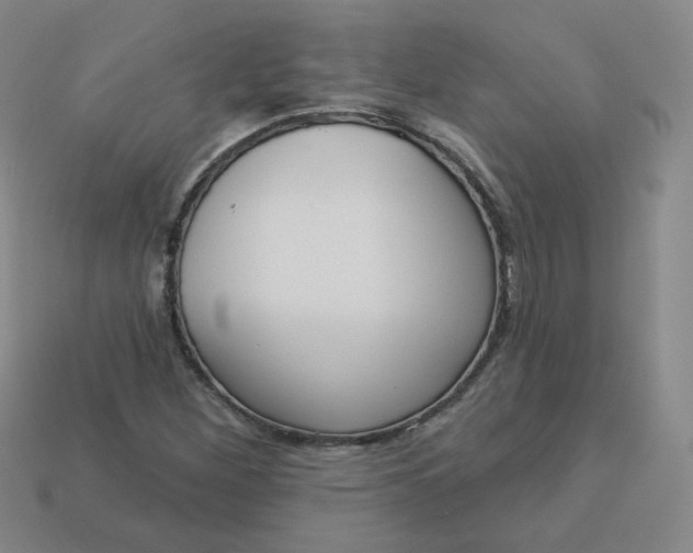 X0000113551260200910091257