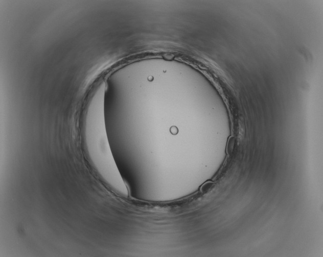 X0000113551261200910091257