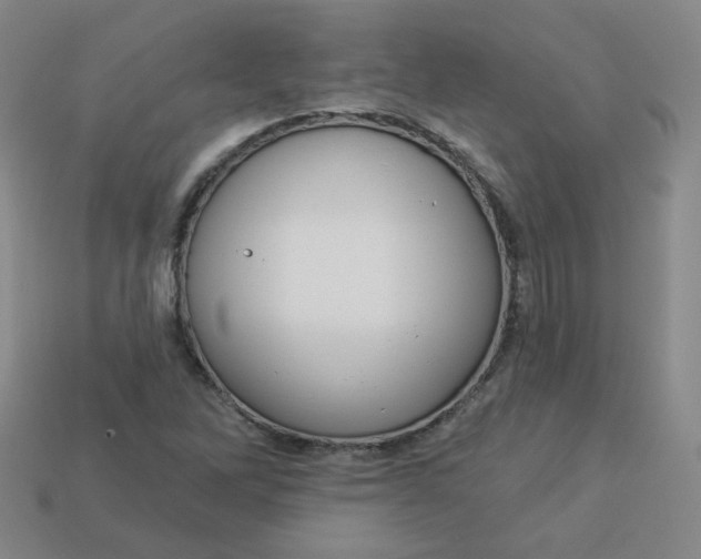 X0000113551262200910091257