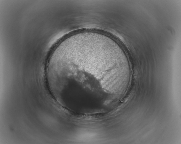 X0000113551263200910091256