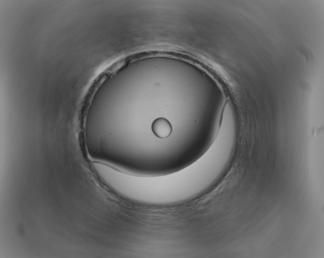 X0000113551264200910091256