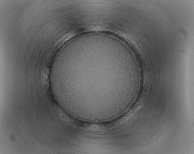 X0000113551265200910091256