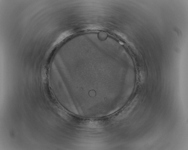 X0000113551266200910091256