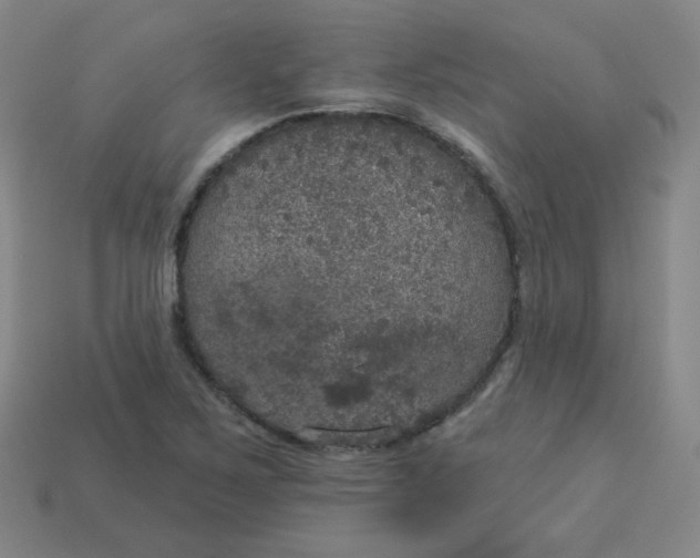 X0000113551267200910091256