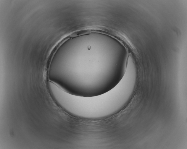 X0000113551268200910091256