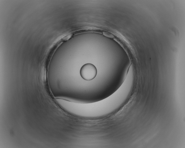 X0000113551269200910091256