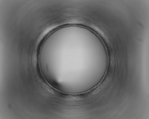 X0000113551270200910091256