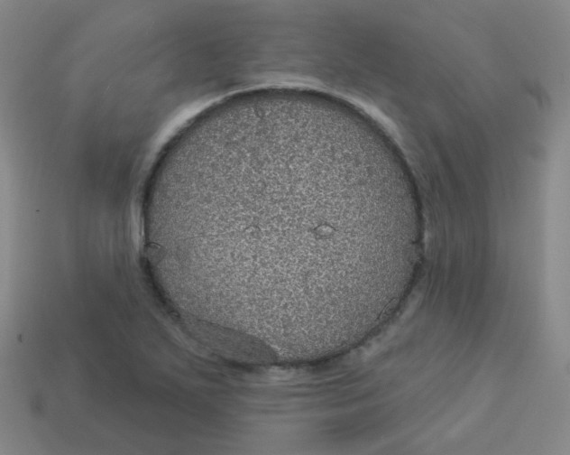 X0000113551271200910091256