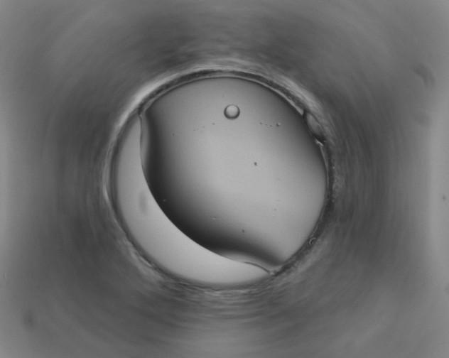 X0000113551272200910091256