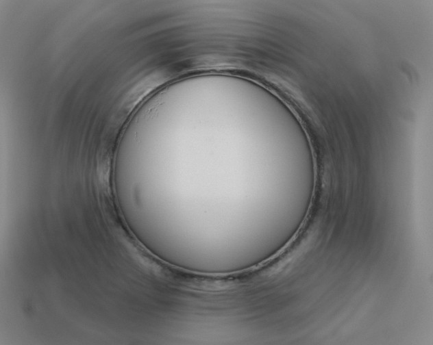 X0000113551273200910091256