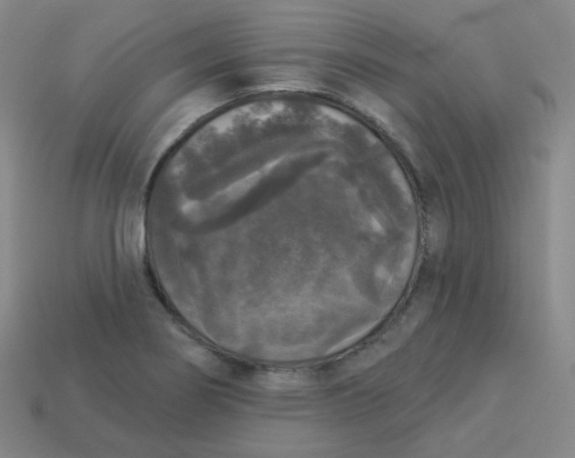 X0000113551274200910091256