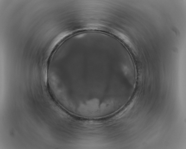 X0000113551275200910091256