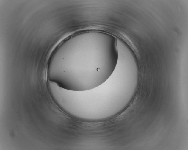 X0000113551276200910091256