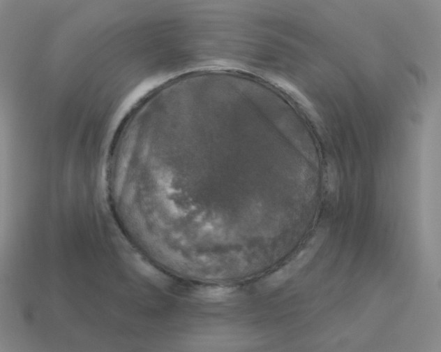 X0000113551278200910091256