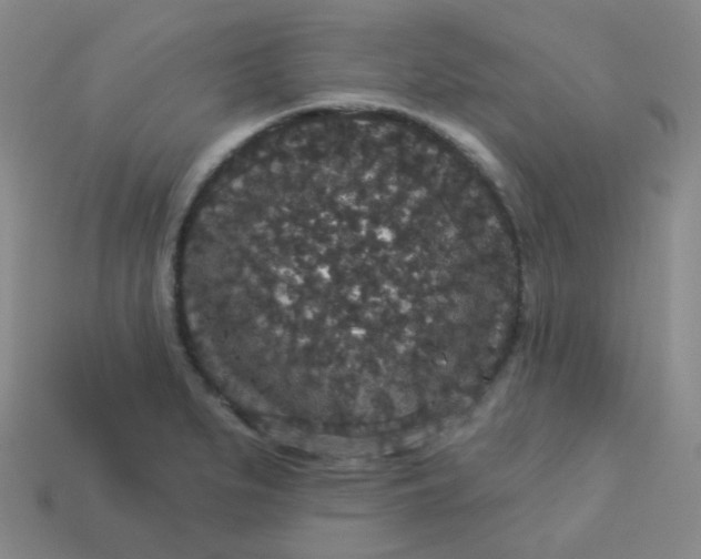 X0000113551279200910091256