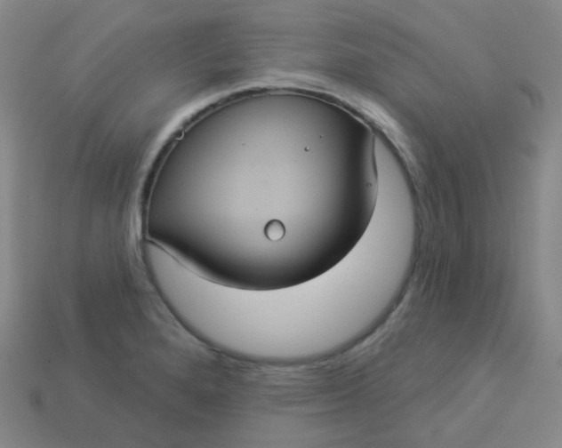 X0000113551280200910091256