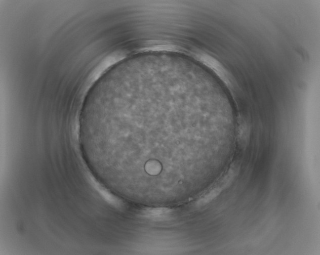 X0000113551282200910091256