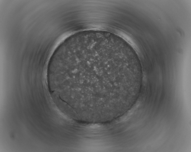 X0000113551283200910091256