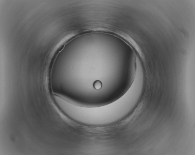 X0000113551285200910091256