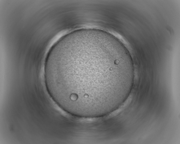 X0000113551286200910091256