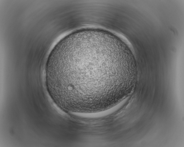 X0000113551287200910091256